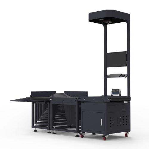 Static DWS with Z Type Belt Sorter